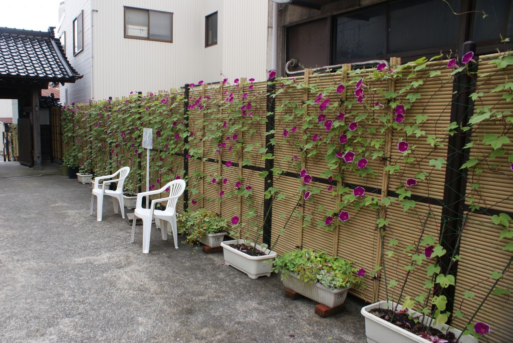 SONY DSC