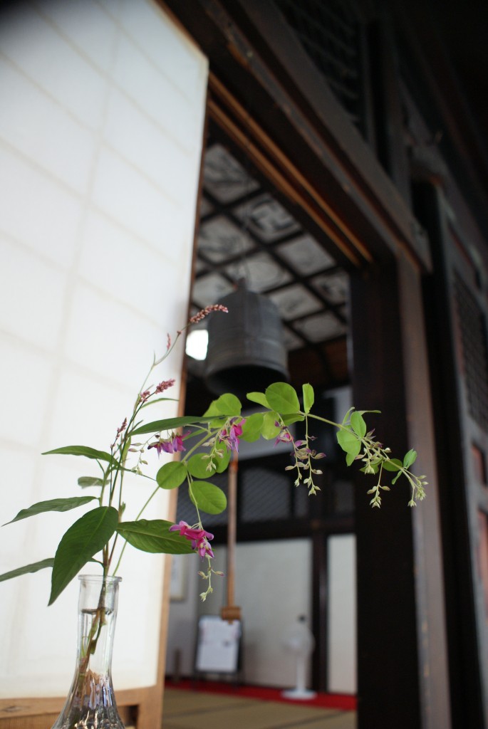 SONY DSC